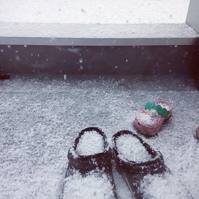 Camiuさんの実例写真