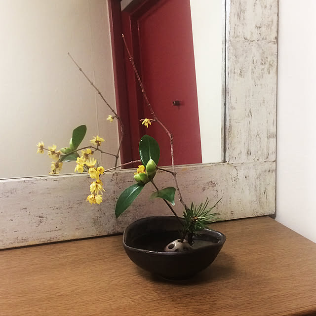 junkoさんの実例写真