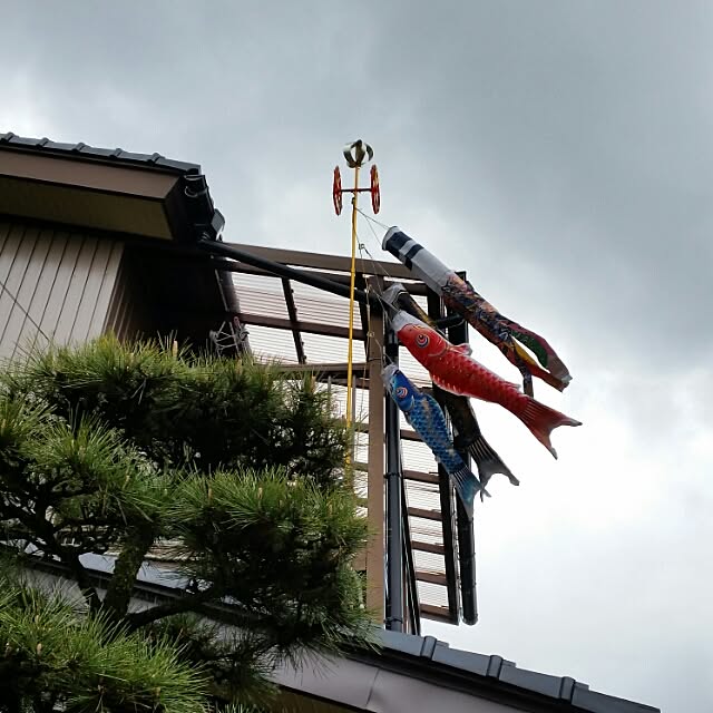 annさんの実例写真