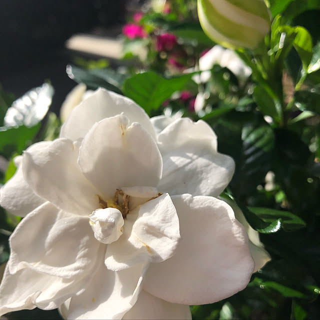xiaohuai7788さんの実例写真