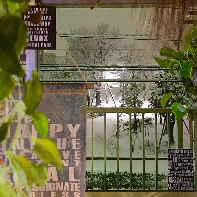 Shujiさんの実例写真