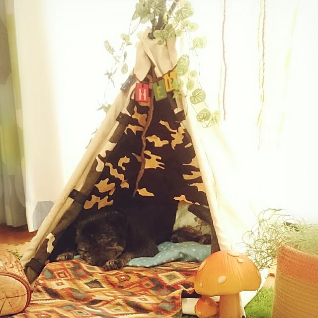 teftef9689さんの実例写真