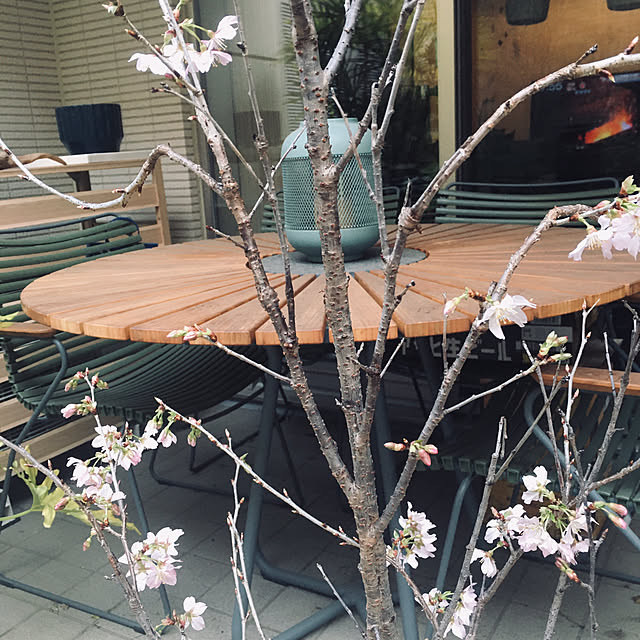 happy-sachiさんの実例写真