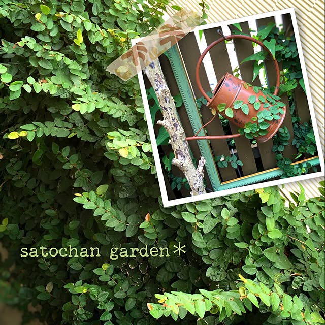 satochanさんの実例写真