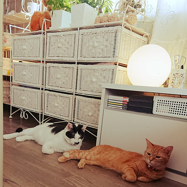 asuminさんの実例写真