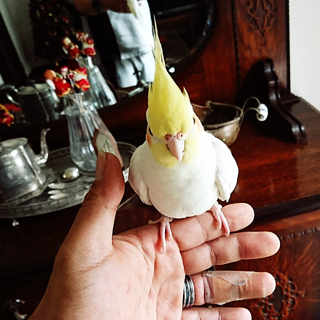 MIUOOさんの実例写真