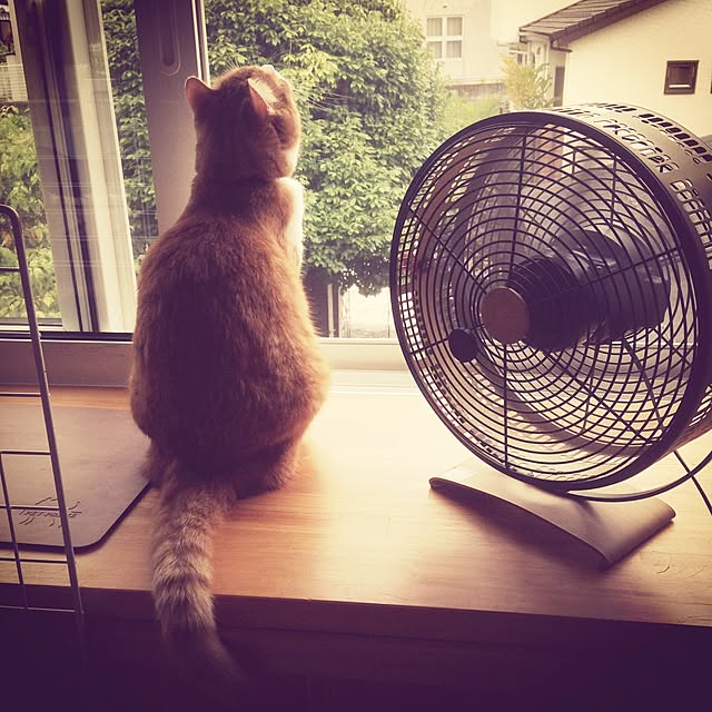 taraさんの実例写真