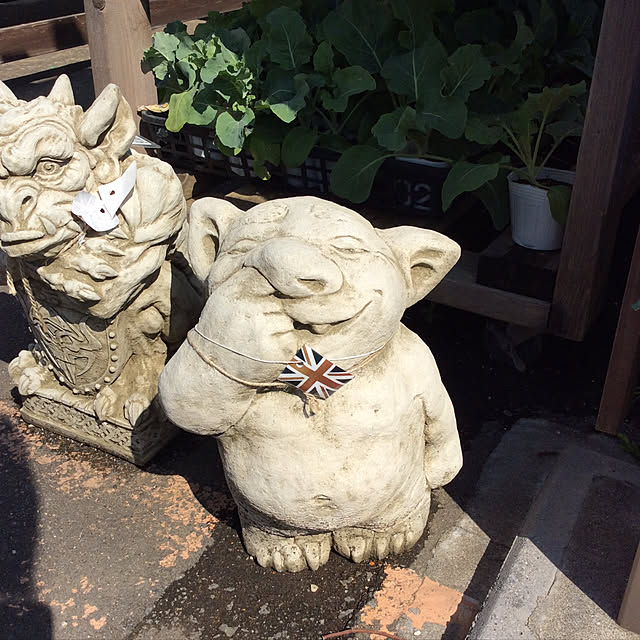 Doriさんの実例写真