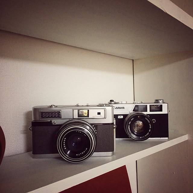 実例写真