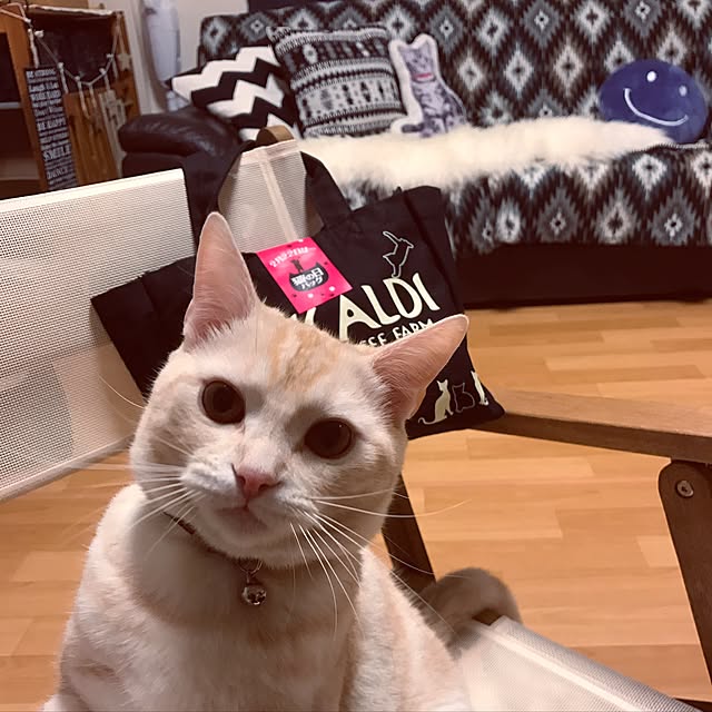 hiyupan88さんの実例写真