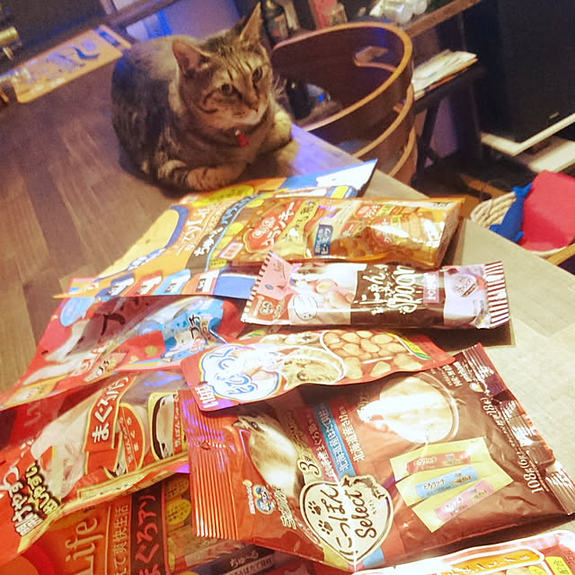 meguさんの実例写真