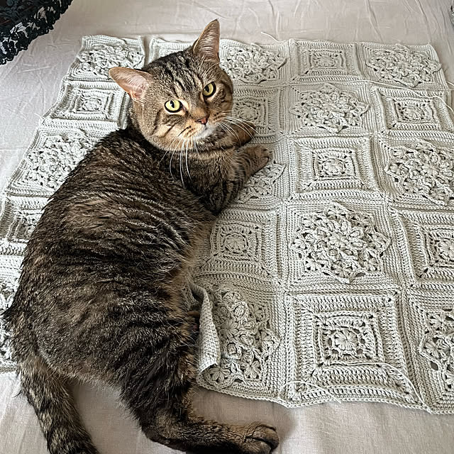 kuuさんの実例写真