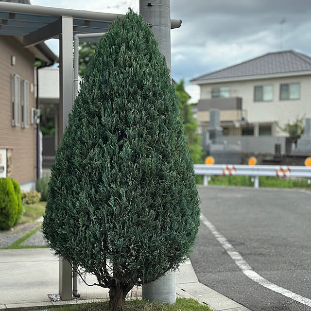 nono.0129さんの実例写真