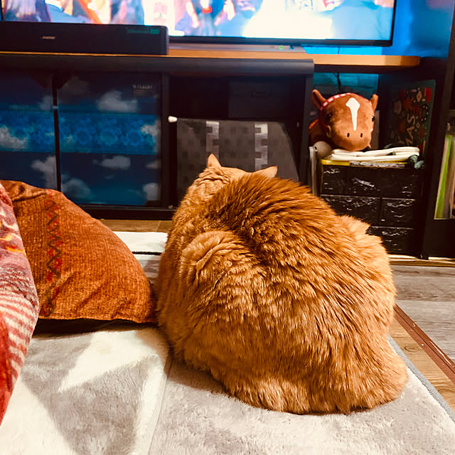 tututu0204さんの部屋