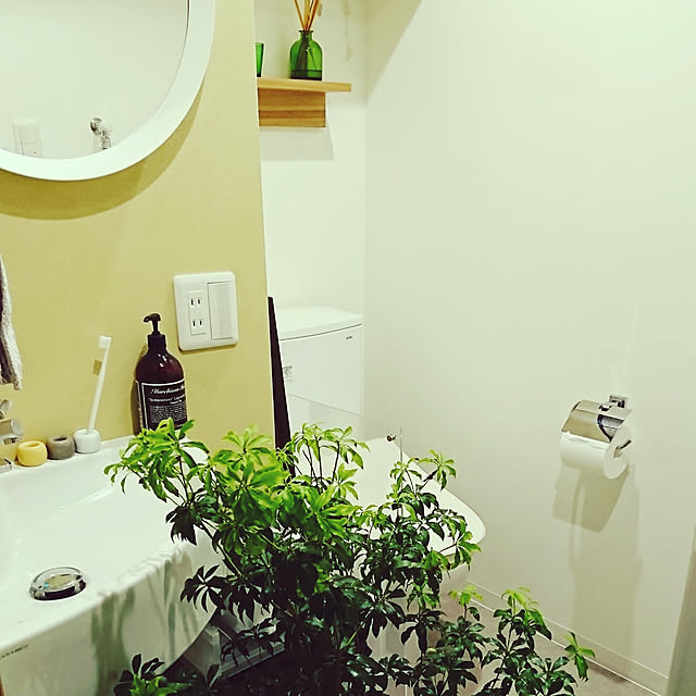 currytowatashiさんの実例写真