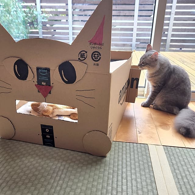 kossyさんの部屋