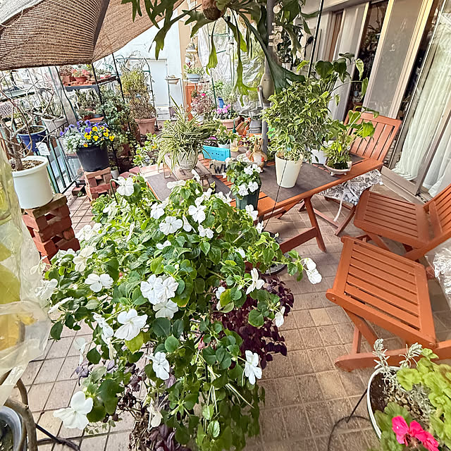 Aqettyさんの実例写真