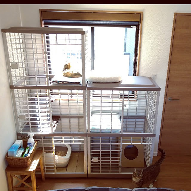 mochicoさんの実例写真