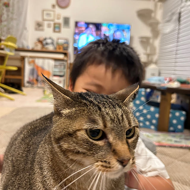 mikomaruさんの実例写真