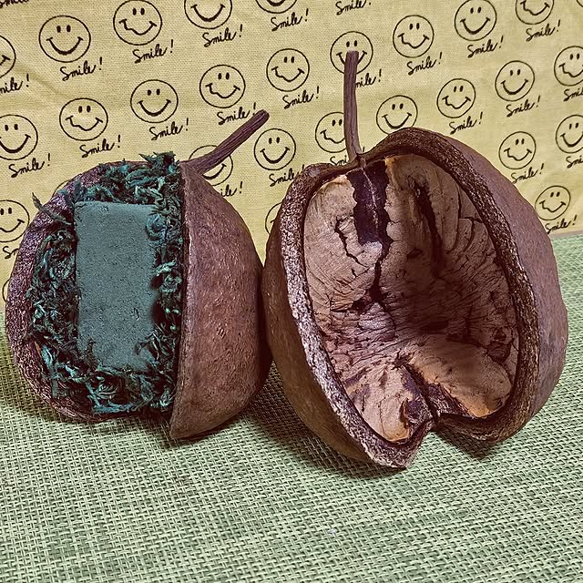 mocomocoさんの部屋