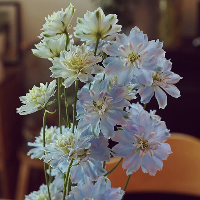 riri1989さんの部屋