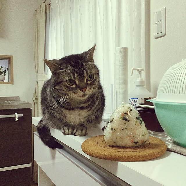 richanさんの実例写真