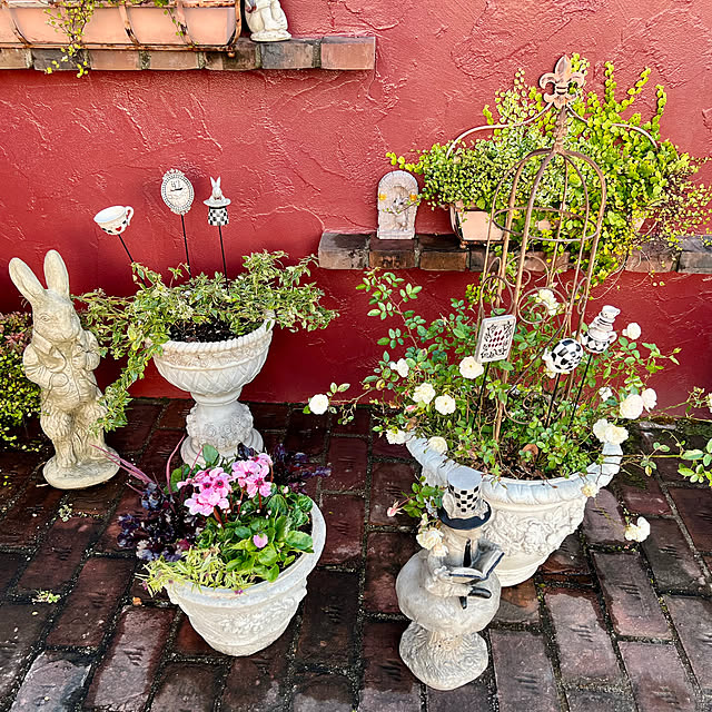 AYUKOさんの部屋