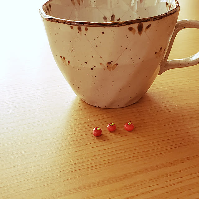 fruityanさんの実例写真