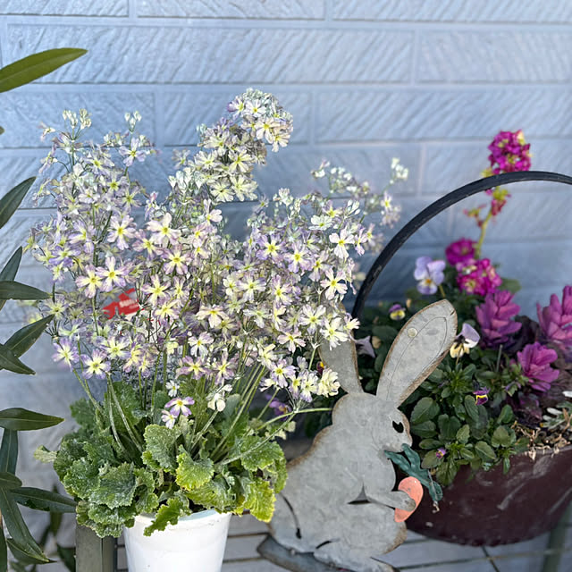 CoCo0617さんの部屋