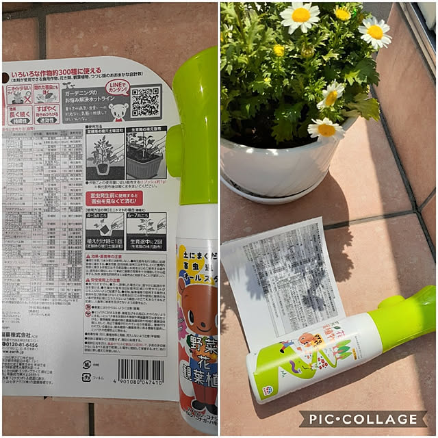 ayamamaさんの実例写真