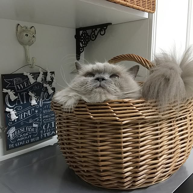yuchiさんの実例写真