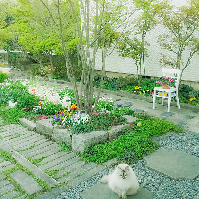 marrymisuzuさんの実例写真