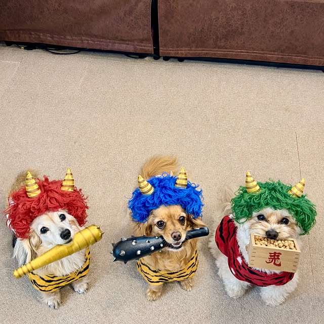 chachamamaさんの部屋