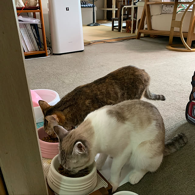 HANAさんの実例写真