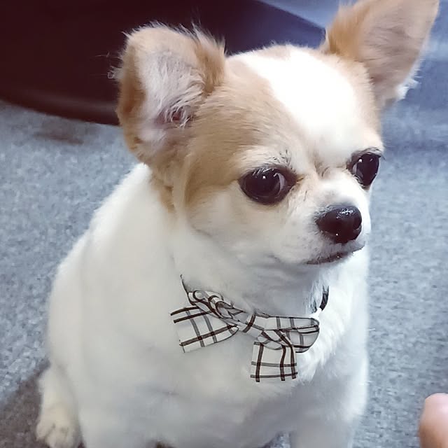 hiro-yさんの部屋