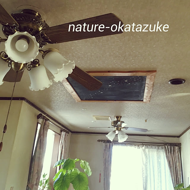 natureさんの実例写真