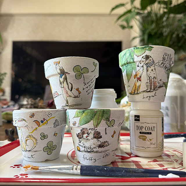 Aqettyさんの実例写真