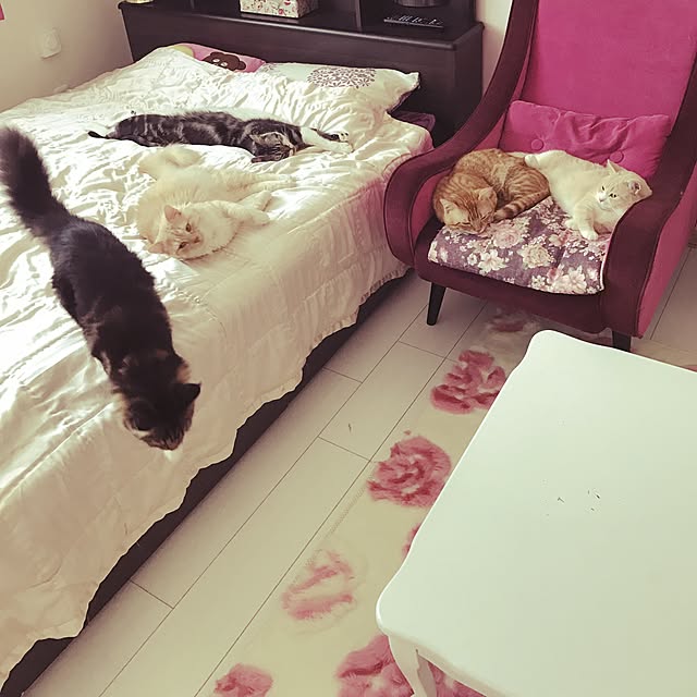 ayakona114さんの実例写真