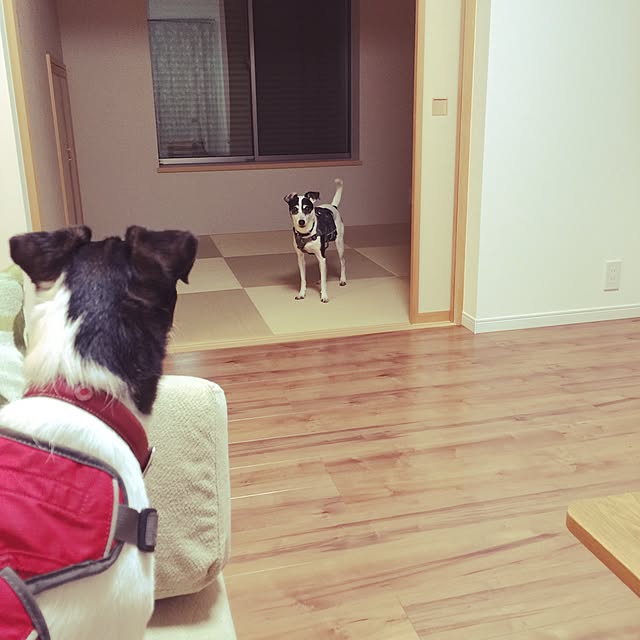 Mahiroさんの実例写真