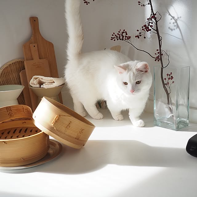 tomatoさんの実例写真