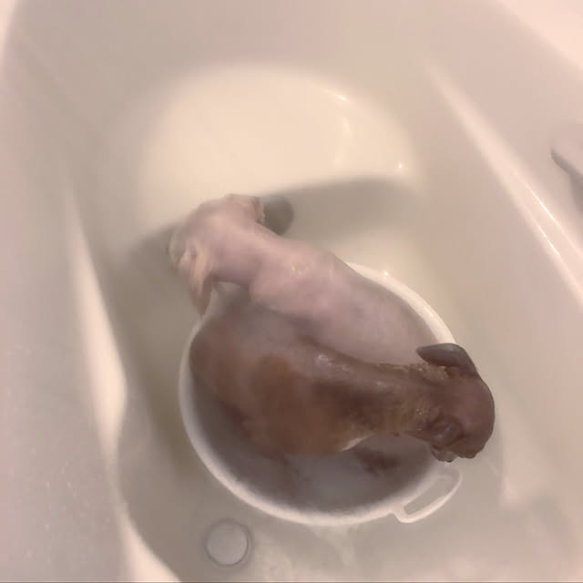 suzyさんの実例写真