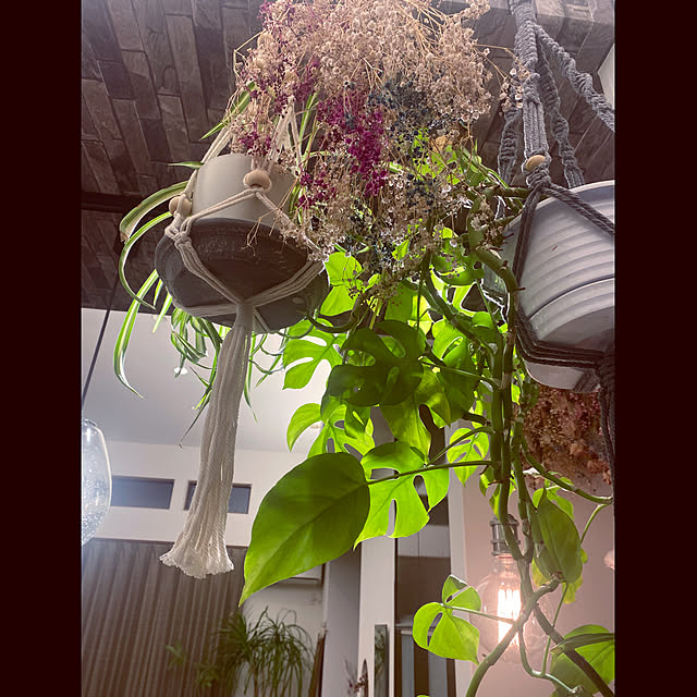 cocochiさんの実例写真