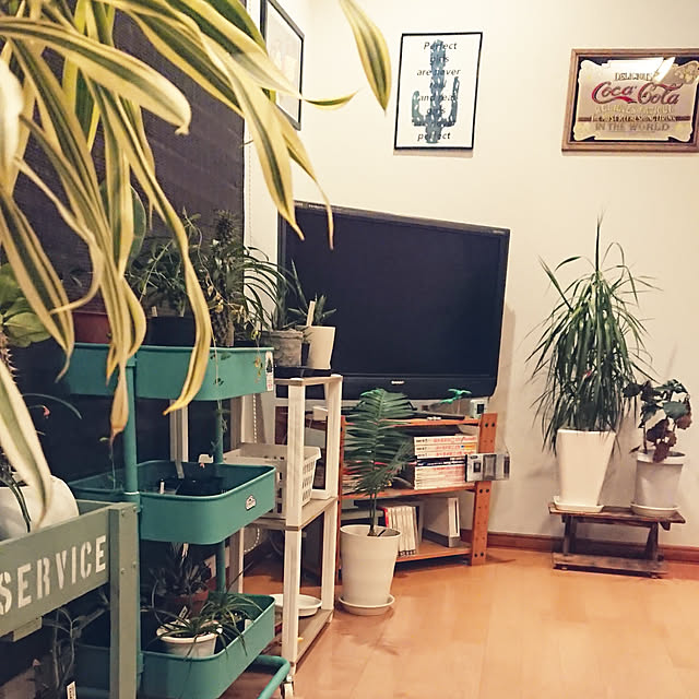 ot-gardenさんの実例写真