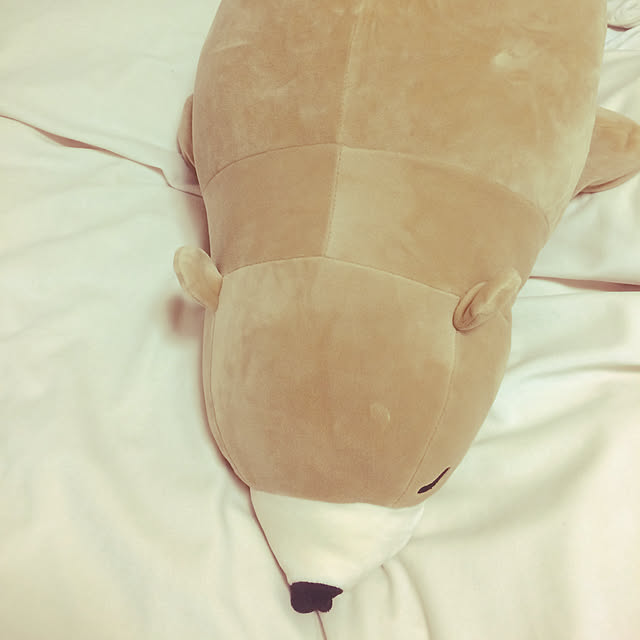 tamakoさんの実例写真