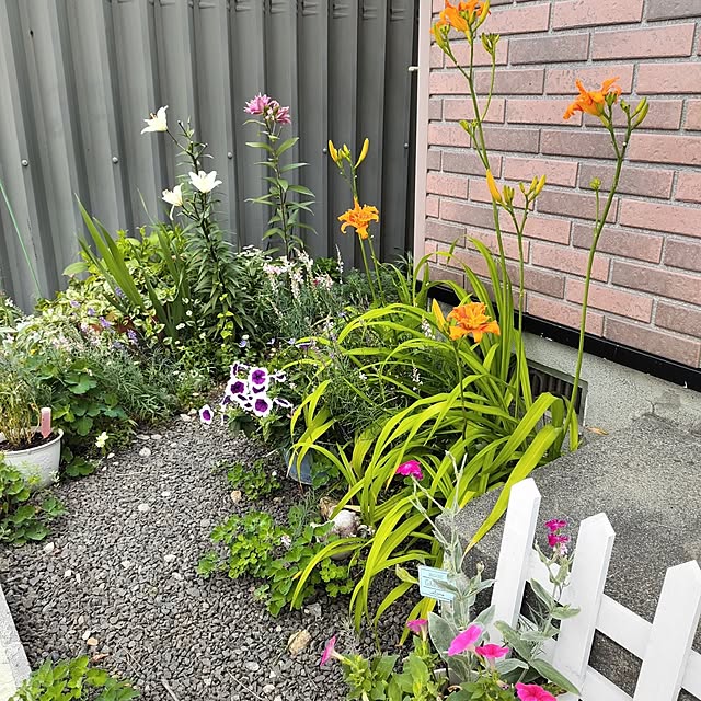 kiraさんの部屋