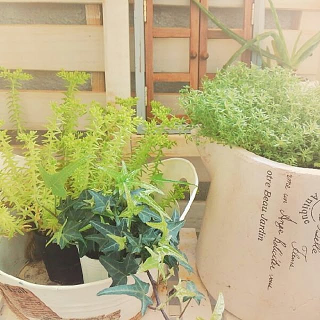 chiさんの実例写真