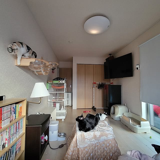 KimmieMouseさんの実例写真
