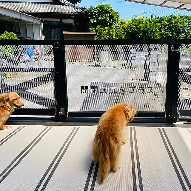 ikeさんの部屋
