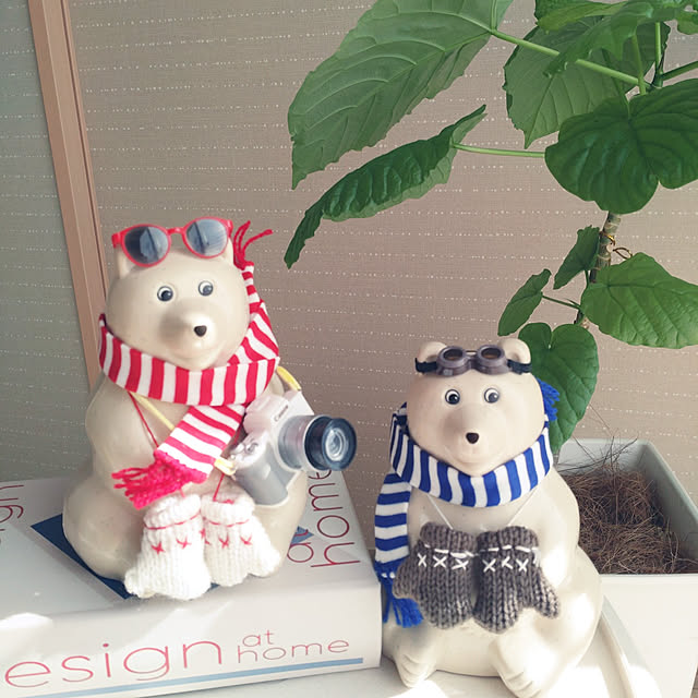 tan5さんの実例写真