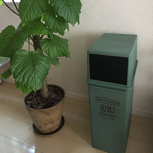 megu12さんの実例写真